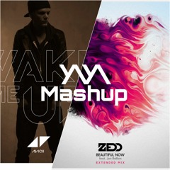 Wake Me Up x Beautiful Now [Y/\Y/\ Mashup]