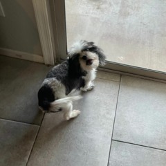 Isnt She Lovely(unmastered)