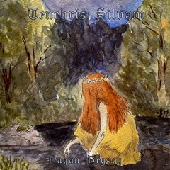 Til Det Bergens Skyggene Cover