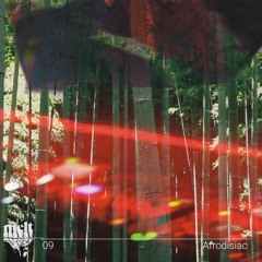 melt mix vol. 9 - Afrodisiac