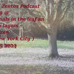 Paul Zentos Podcast 1099 @ Animals In The Leaf And Stem Layers - Wanzen ( New York City ) 17 05 2024