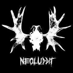 Neoluddit