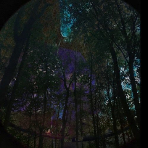 Gradient - Deep Side Dominance