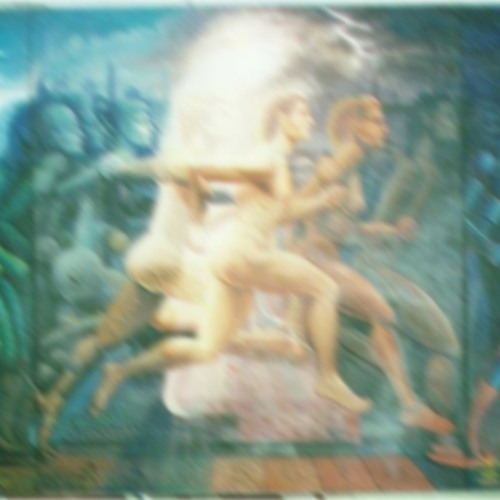 08 Evolution 2