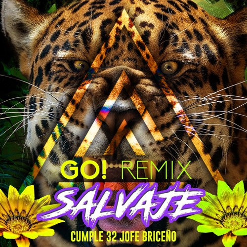 GO! Remix Salvaje