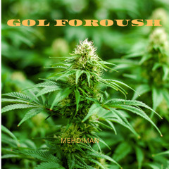 Mehdiman - Gol Foroush