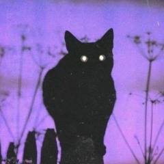 SC0P€ feat David the Human (prod LUKE.G)