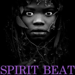 H.A.N.C.Y & MASSIMO TERREMOTO - Spirit Beat ( Original Mix )