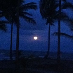 night in hawaï