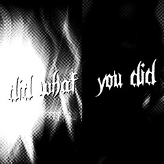 did what you did