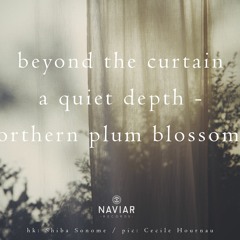Haiku #381 beyond the curtain / a quiet depth – / northern plum blossoms