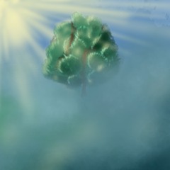 O país das fábulas