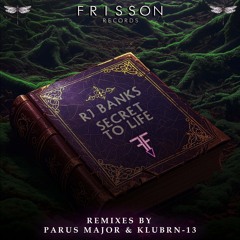 RJ Banks - Secret to Life ( KLubRN-13  Remix )