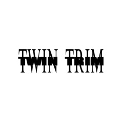 TWIN TRIM (vishnu okuno Harlem Shake 2k25 rmx) FREEDL