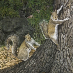 Squirrels in the trees (feat.Katana)