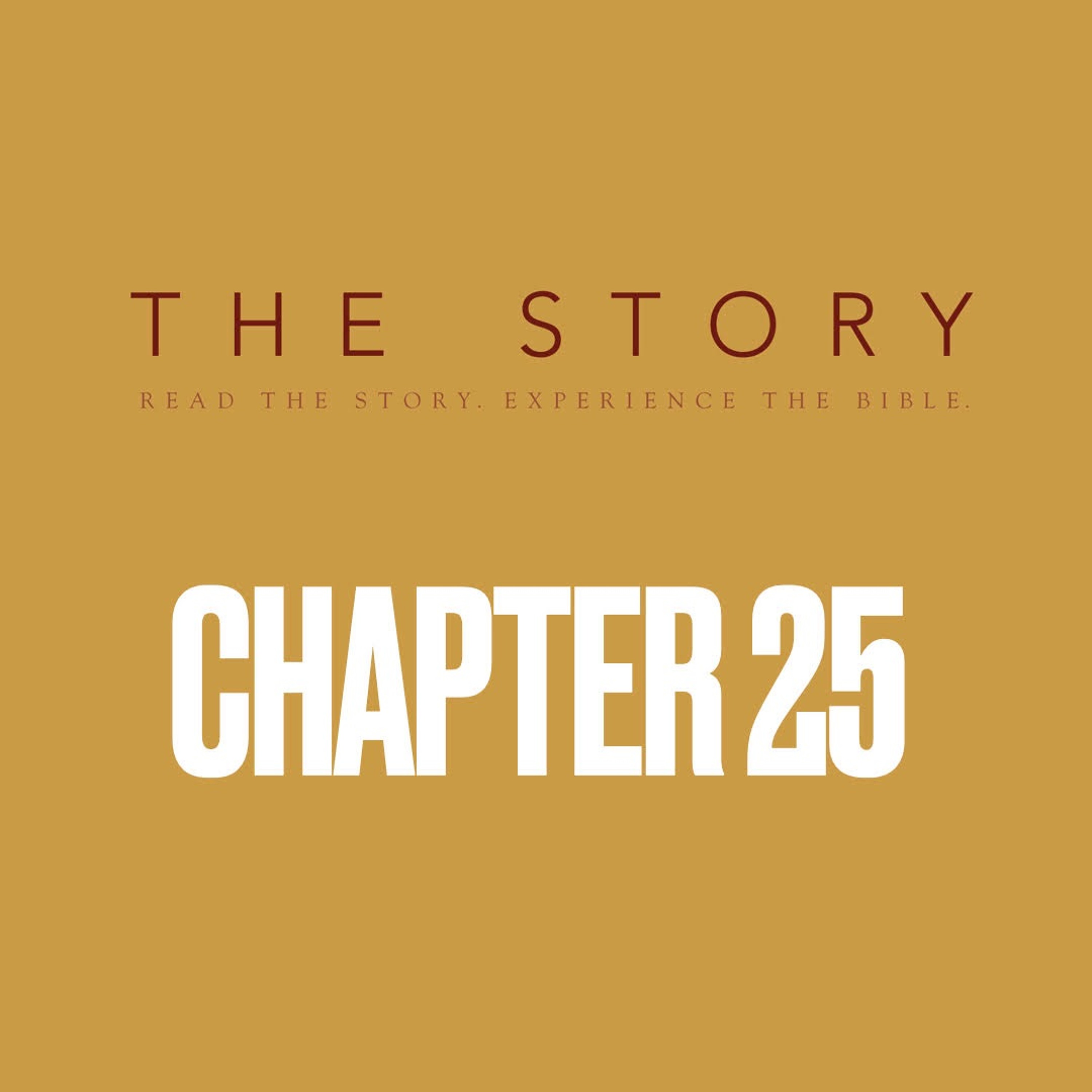 The Story - Ch. 25: Jesus, the Son of God - Mark 8:27-38 episode artwork