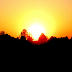 Morning Sun