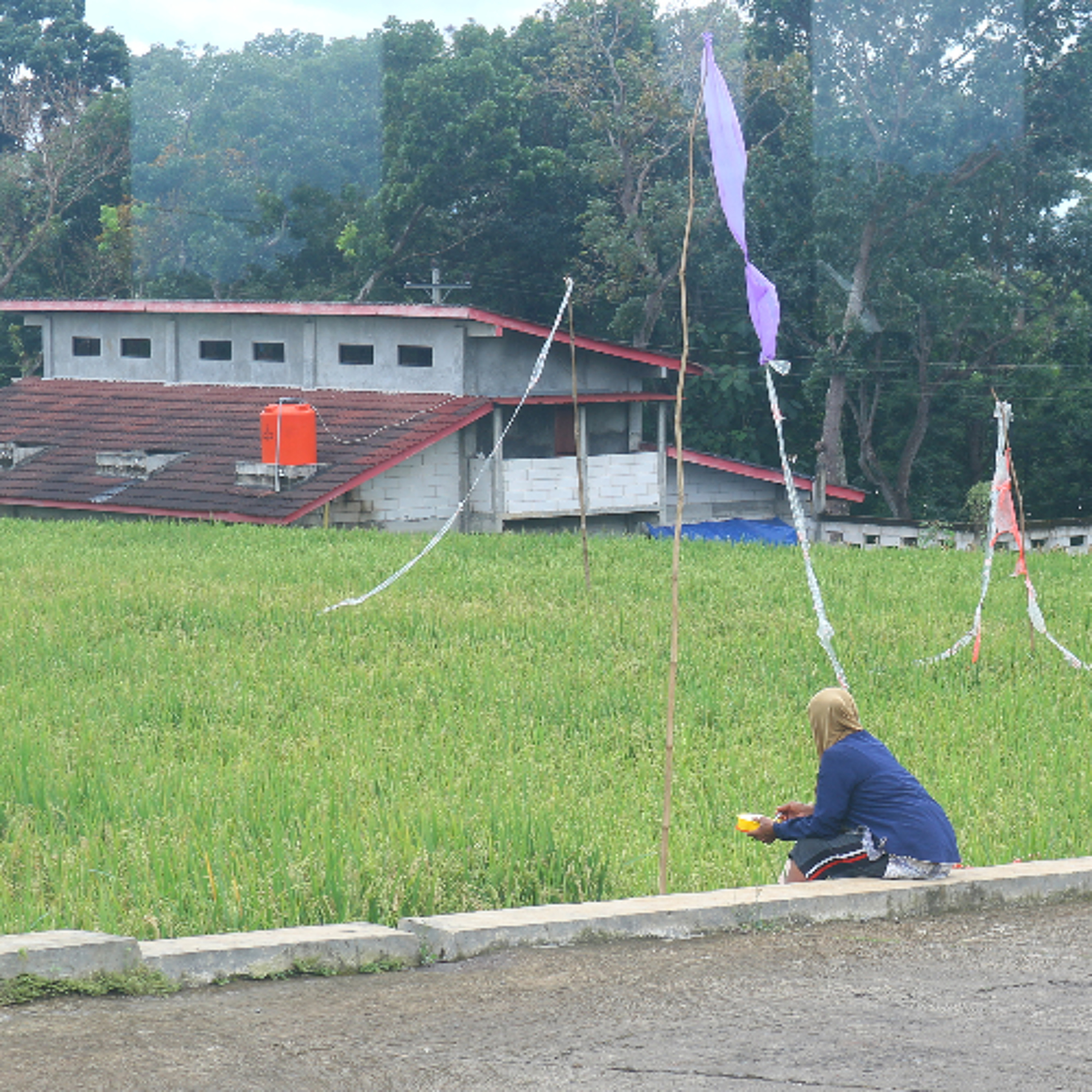 Linda Susilowati: Gender Transformation in Rural Java