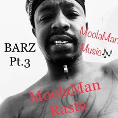 MoolaMan Rasta- BARZ Pt. 3