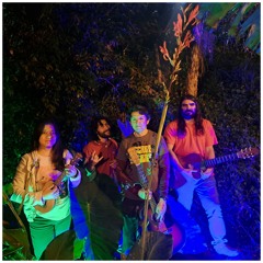 In The Woods