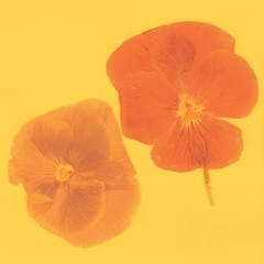 Clair De Lune (Until we all Die) - Cosmos A