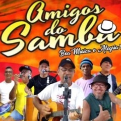 Meus Sentimentos - Harmonia do Samba