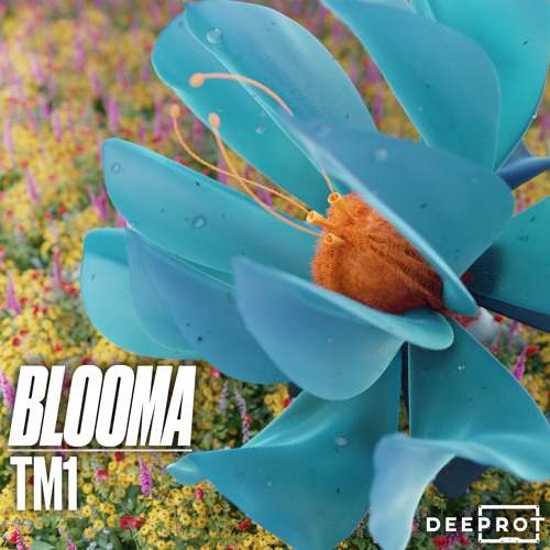 TM1 - Blooma