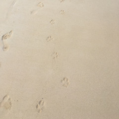 1. Live at Ruby Room 9.19.2025 - Soundcheck