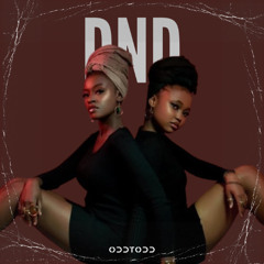 We Are Nubia - DND (Ft. Zaituni Wambui) [ODDTODD Remix]