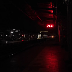 Own The Night