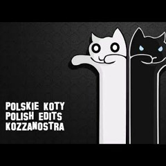 Polskie Koty Polish Edits Kozzanostra