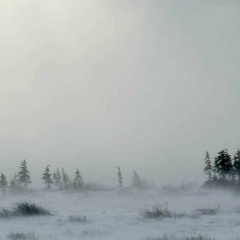 Far North, May You Find Me (Farewell)