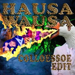 Mr. Polska & Boaz Van De Beatz - Hausa Wausa (Collusion Edit)
