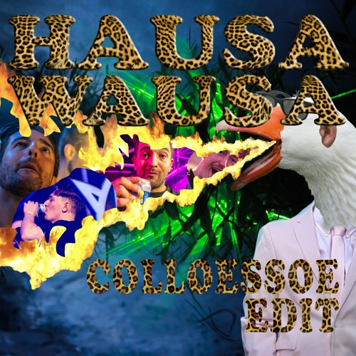 Mr. Polska & Boaz Van De Beatz - Hausa Wausa (Collusion Edit)