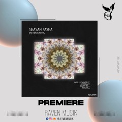 PREMIERE: Shayan Pasha - Silver Lining (Redspace Remix) [Polyptych Noir]