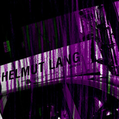 HELMUTLANG%%%