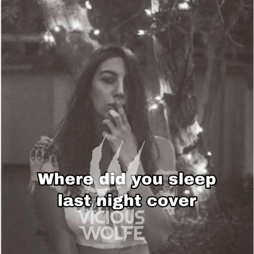 Where did you sleep last night? Cover by Vicious Wolfe