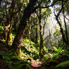 By Nature