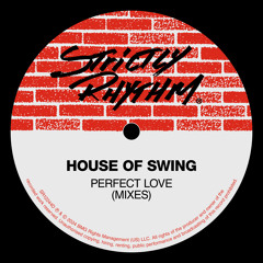 Perfect Love (Organ Love Mix)