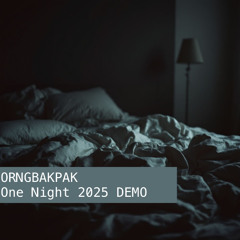 One Night 2025 DEMO