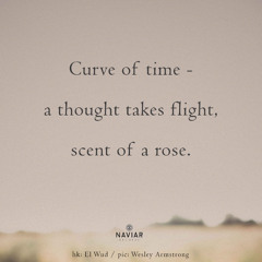 A Rose from St. Thérèse [naviarhaiku 577]
