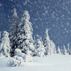 Agalloch - Falling Snow