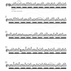 Heights (alto recorder solo)