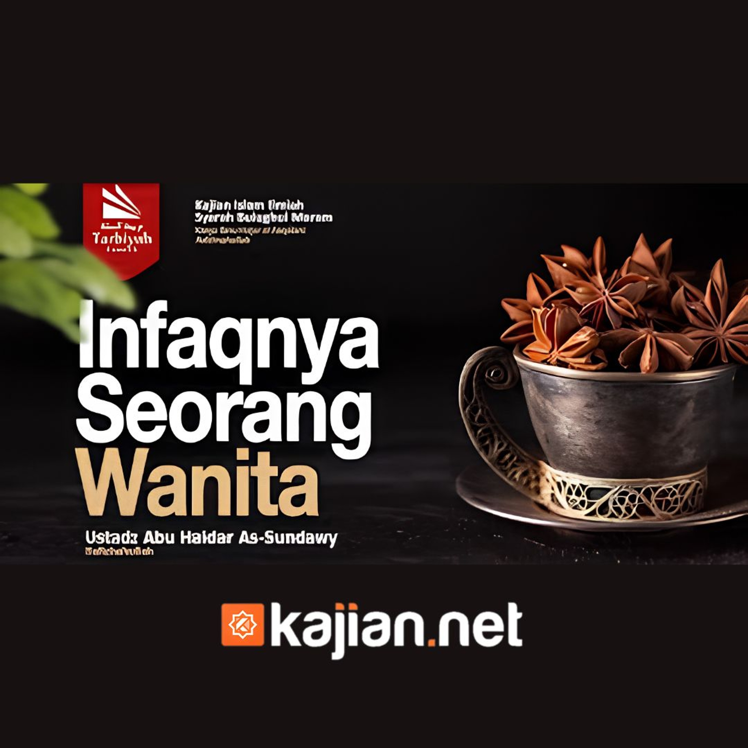114. Kitab Zakat_ Infaqnya Seorang Wanita (Bulughul Maram) episode artwork