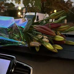 Guitar Mediations VI - @iamvraell on tiktok