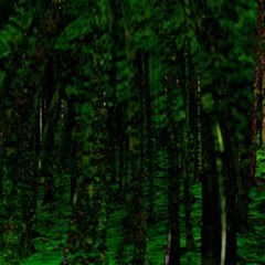 Soundforest (disquiet0569)