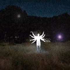 THRUDANIGHT