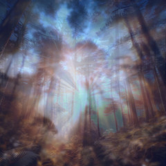 Hiding Sun