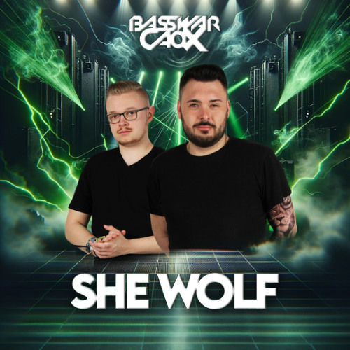 David Guetta - She Wolf (Falling To Pieces) ft. Sia (BassWar & CaoX Hardstyle Remix)