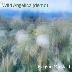 Wild Angelica (demo)